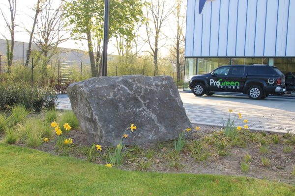 Pro Green - Bedrijfstuin Volvo